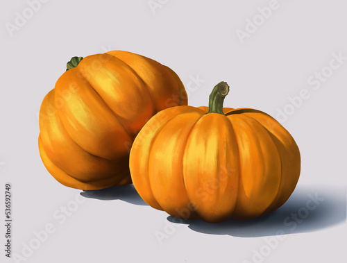 Pumpkins artwork, illustration (ID: 536592749)