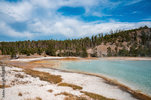 Scenic view of steam emitting from geyser basin by forest. Geothermal landscape at famous Yellowstone national park with cloudy sky in background. Popular tourist attraction in valley.