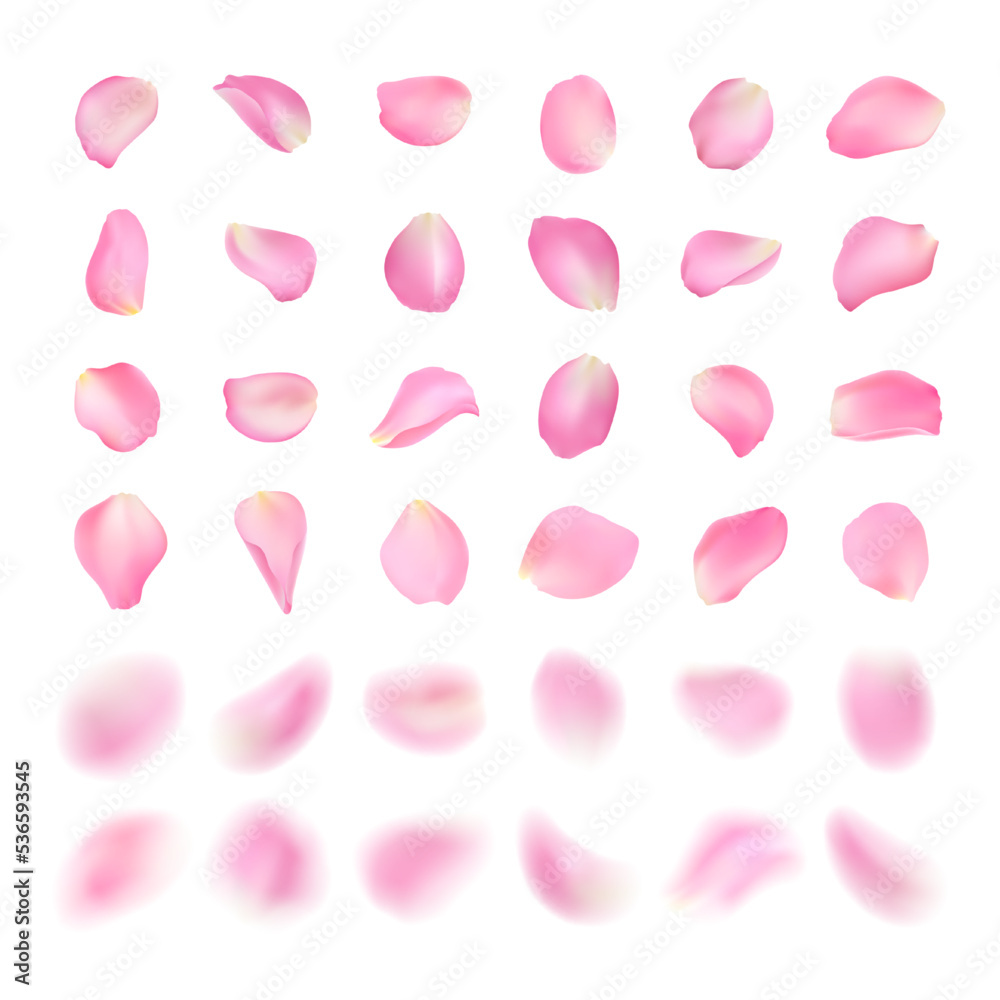 Vector template of different shape pink rose petal isolated on white background. Realistic volumetric blurred sakura petals. Blur effect illustration.