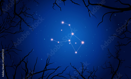 Vector illustration Crater constellation. Tree branches  dark blue starry sky  cosmos. Illustration of constellation scheme Crater