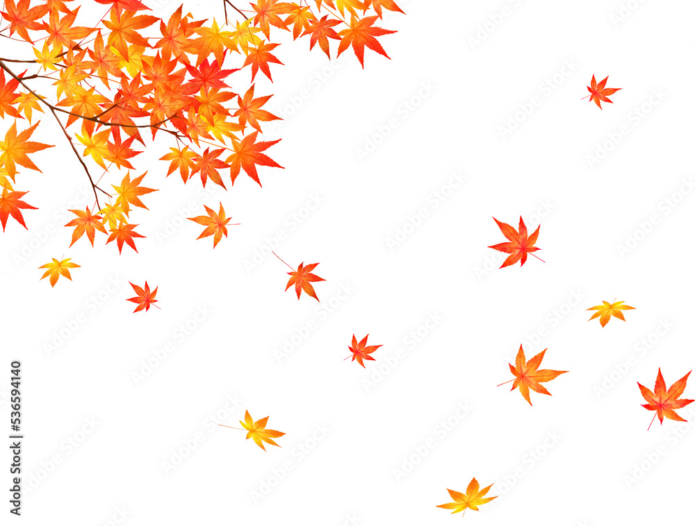 赤く紅葉した美しい紅葉の葉のオシャレなベクターの白バック秋背景素材フレーム
