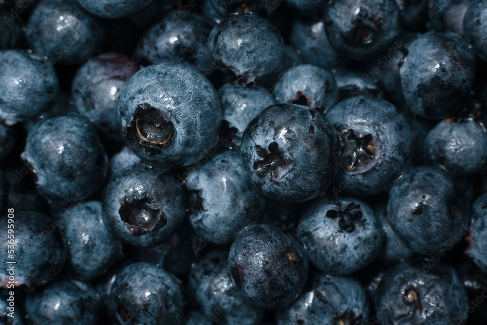 Wet fresh Blueberry background. close up with selective focus and water droplets. Fresh blueberry with drops of water on wooden background. Concept of healthy and dieting eating Wet fresh Blueberry background. close up with selective focus and water droplets. Fresh blueberry with drops of water on wooden background. Concept of healthy and dieting eating