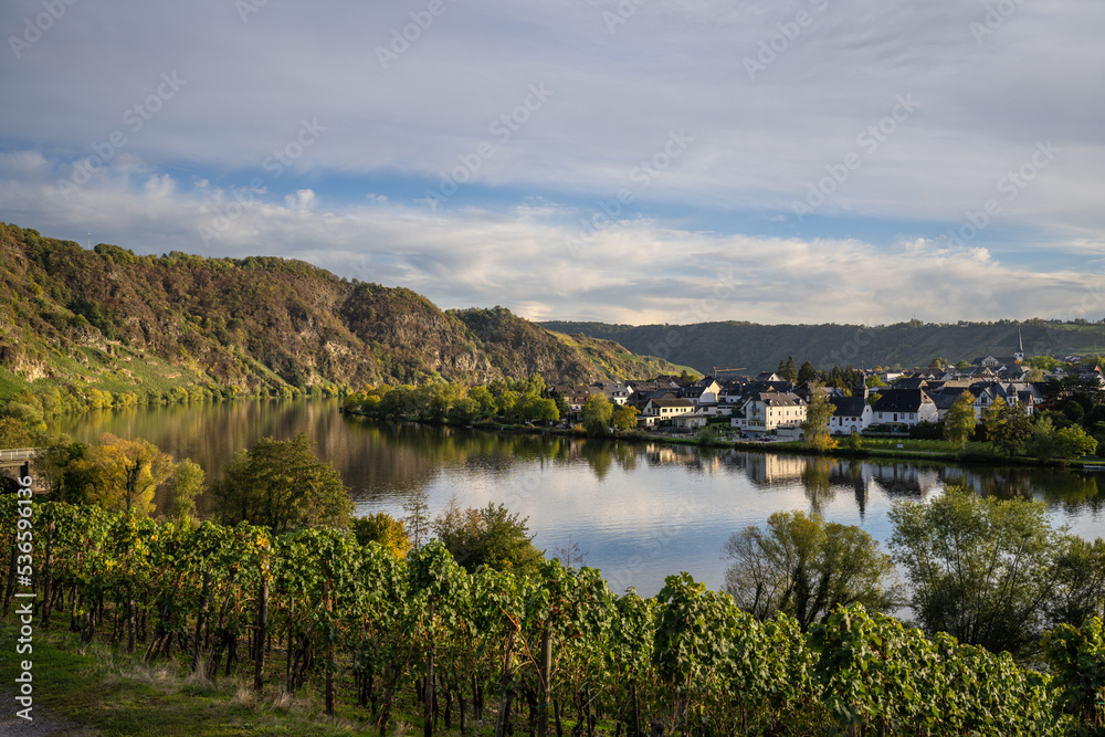 Fototapeta premium Piesport (Mosel), Oktober 2022