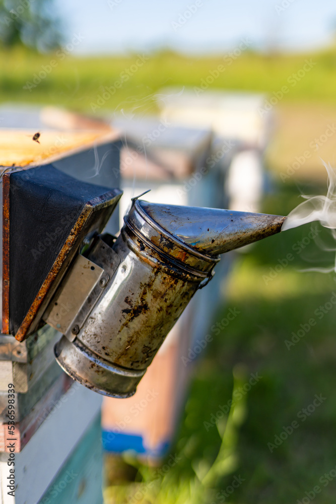 Beekeeping smoke instrument. Bee apiary smoker equipment. Beekeeping smoke instrument. Bee apiary smoker equipment.