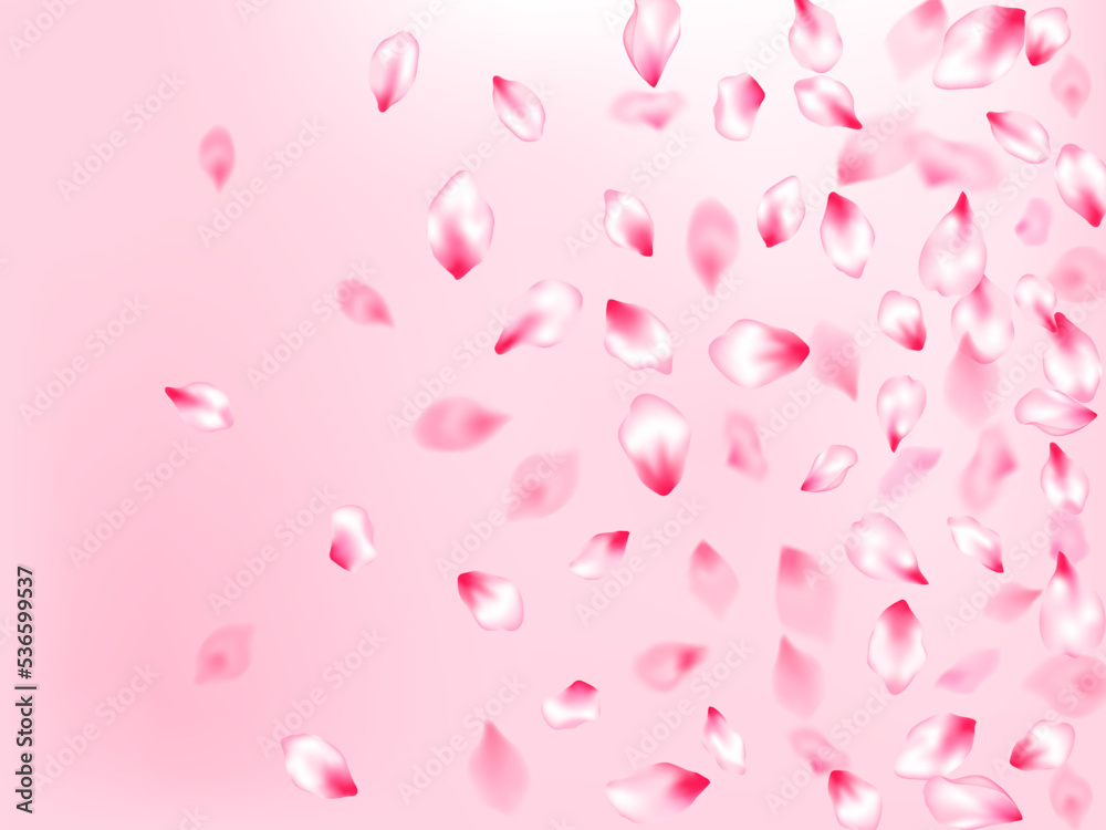 Pink sakura petals confetti flying and falling