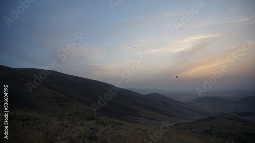  A flock of birds over the mountains