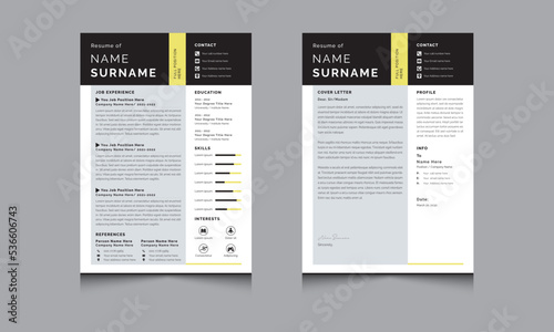 Professional resumes format, cv template, cover letter layout for corporate and any other job application