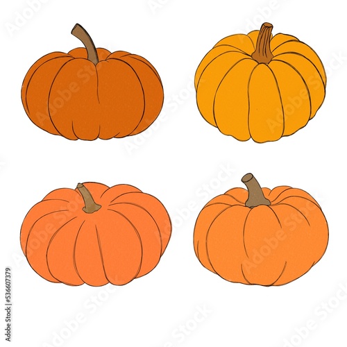 Pumpkin watercolor drawing free hand. Pumpkin for Thanksgiving. Bright pumpki...