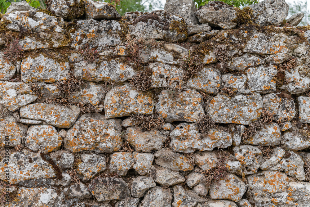 Stone wall on the Causse Mejean in the Cevennes. Stone wall on the Causse Mejean in the Cevennes.