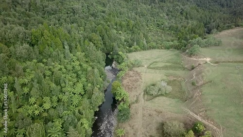 aerial view of the green jungle with trees and river on whenuakura island, new zealand  photo