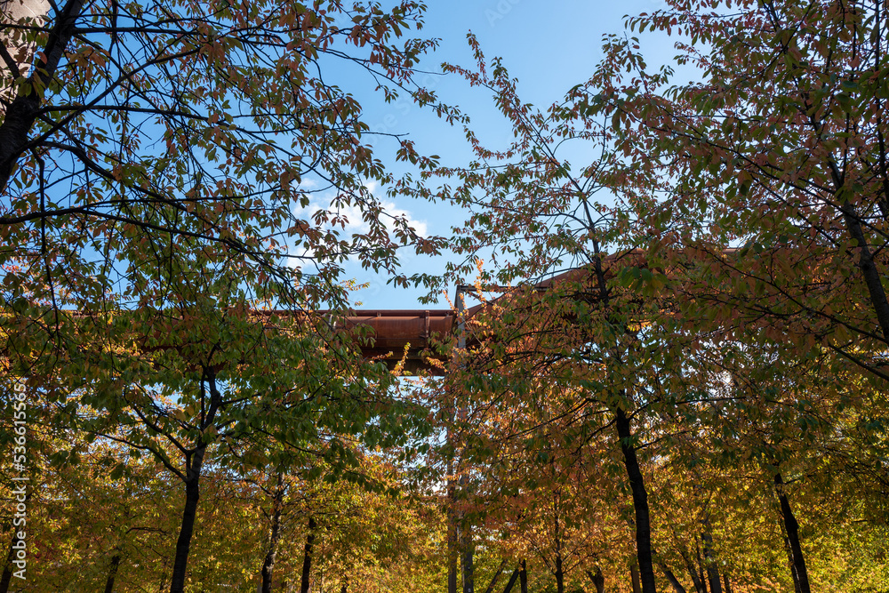 Herbst,Fall,gelb,yellow,braun,brown,rost,laub,blätter,leaves,industrie,industriecharme,Natur,bäume,trees,oktober,october, Herbst,Fall,gelb,yellow,braun,brown,rost,laub,blätter,leaves,industrie,industriecharme,Natur,bäume,trees,oktober,october,