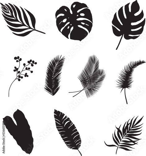 Set of leaves silhouettes isolated on white background