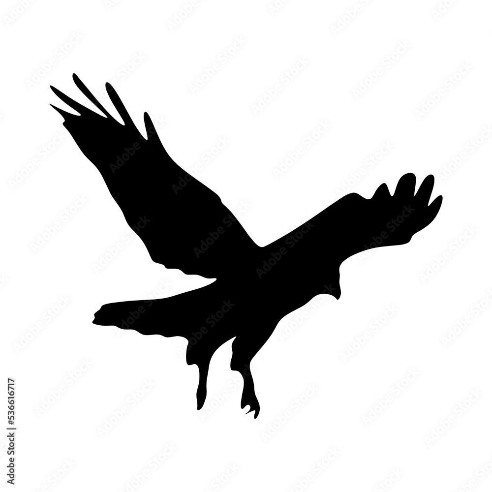 Eagle silhouette isolated on white background. Eagle in landing. vector illustration Eagle silhouette isolated on white background. Eagle in landing. vector illustration