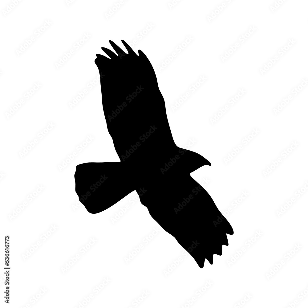 Obraz premium Buzzard silhouette isolated on white background. Buzzard flying sign. vector illustration