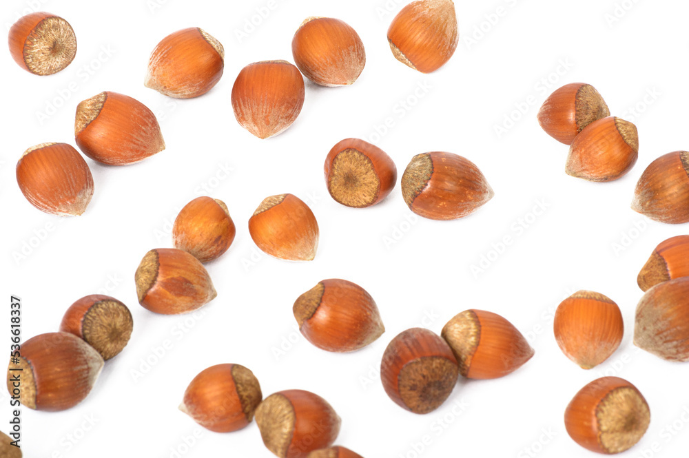 a large amount of hazelnuts as an isolate a large amount of hazelnuts as an isolate