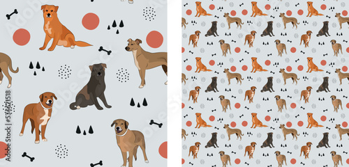 Seamless dog pattern, cute. Square format texture, t-shirt, poster, packaging, textile, socks, textile, fabric, decoration, wrapping paper. Trendy hand-drawn Mutt dogs, mixed breed mongrel. Gift box