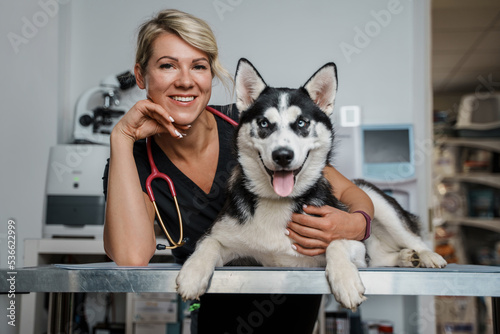 Fototapeta Naklejka Na Ścianę i Meble -  Portrait of professional vet woman dressed in uniform and husky dog lying on table.