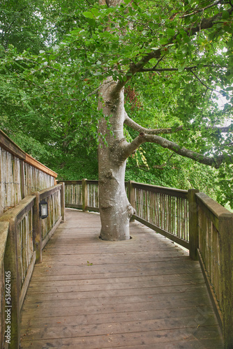 Hanging trail in the trees at the Danish Zoo