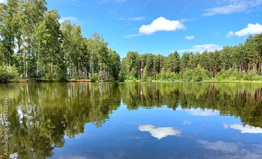 lake and forest