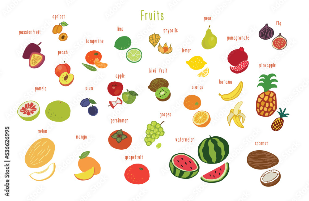 Obraz premium Fruits healthy food vector illustations set.