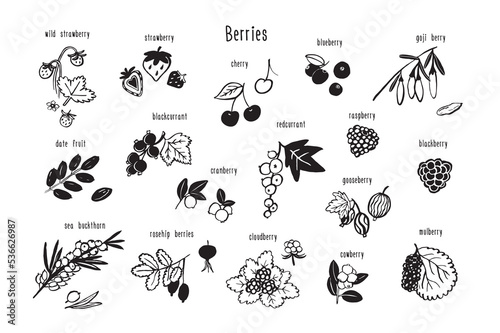 Berries healthy food vector illustrations line set.