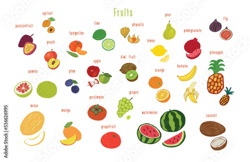 Fruits healthy food vector illustations set. photo