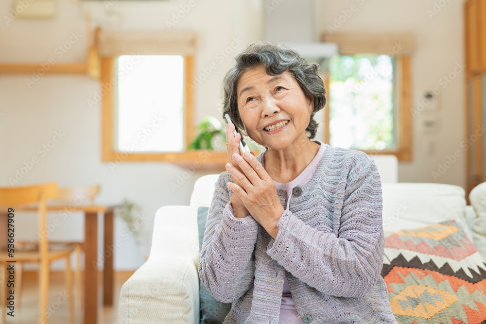 自宅で電話をするシニア女性 自宅で電話をするシニア女性