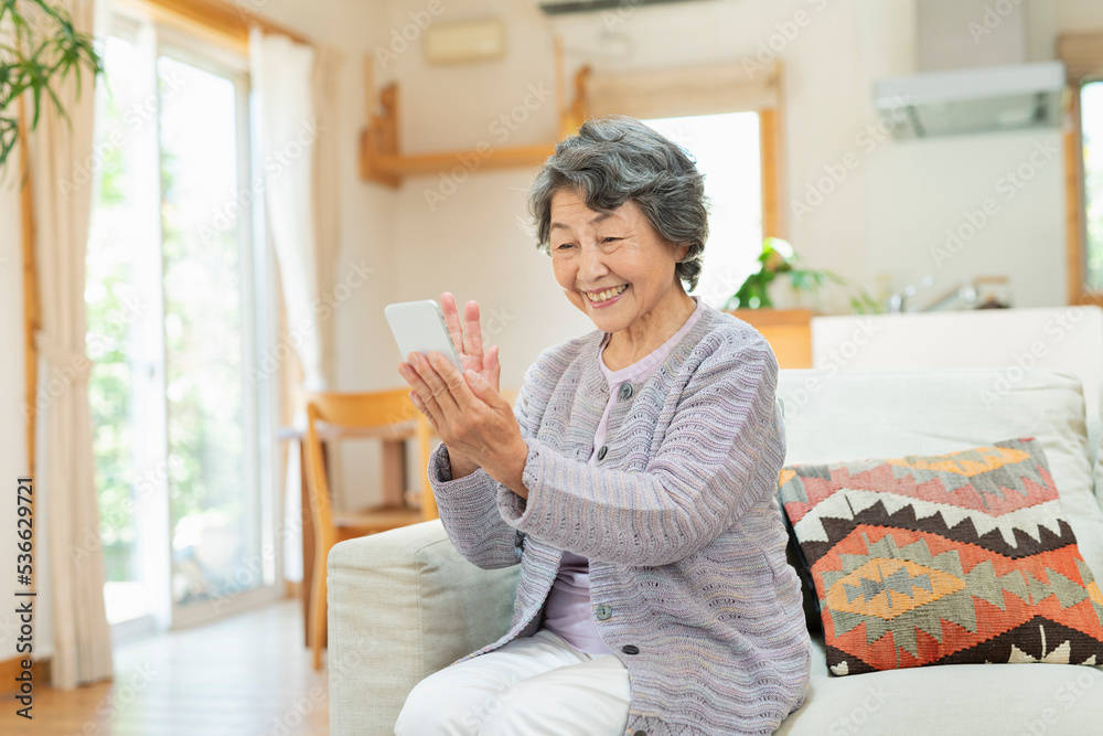 自宅で孫とテレビ電話をするシニア女性