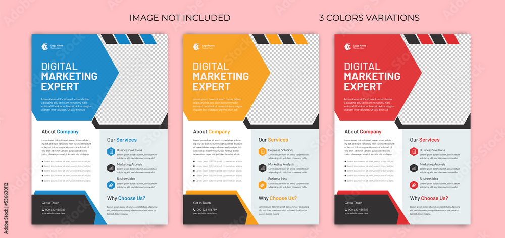 Digital marketing business flyer template, corporate flyer template design with three color variations