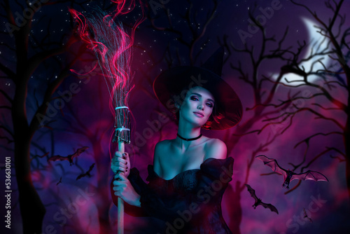 Banner collage of stunning magician lady holding flying broom stick moon night on ultra colored dark woods image