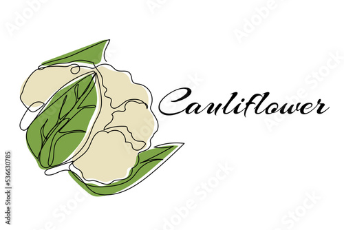 Continuous one line drawing of cauliflower. Vector illustration on isolated background.