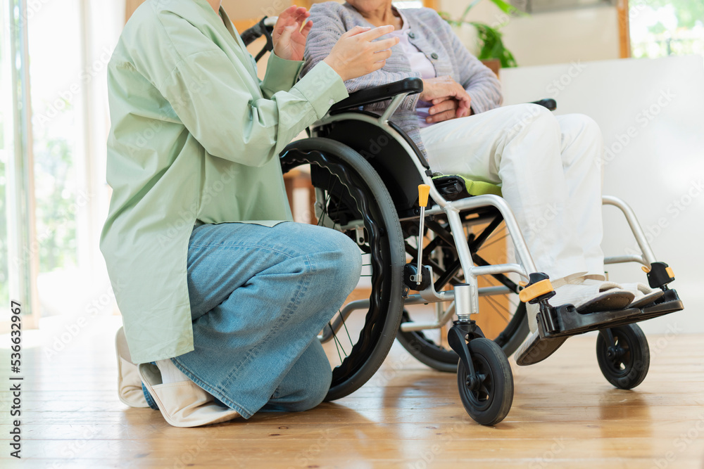 Obraz premium 孫と車椅子に乗ったシニア女性