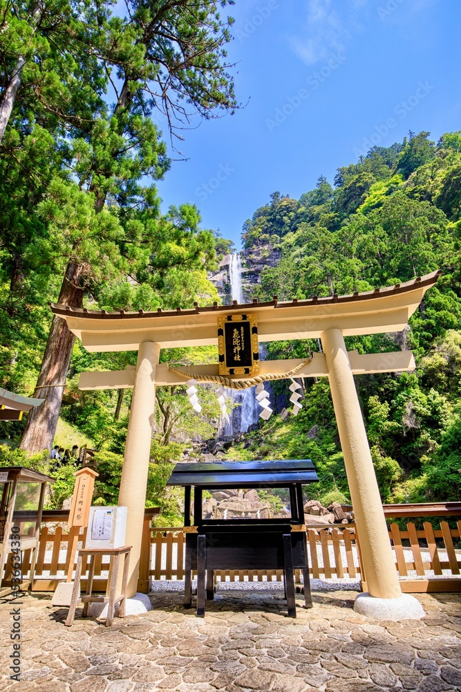 世界遺産熊野古道 飛瀧神社の鳥居と那智の滝 世界遺産熊野古道 飛瀧神社の鳥居と那智の滝