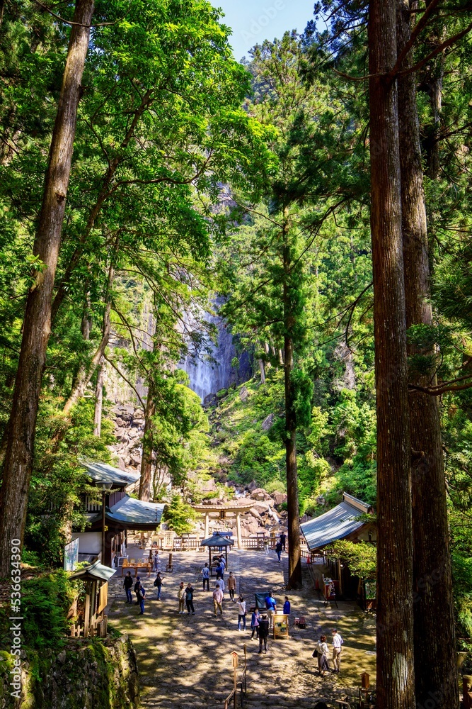 世界遺産熊野古道 飛瀧神社の鳥居と那智の滝 世界遺産熊野古道 飛瀧神社の鳥居と那智の滝