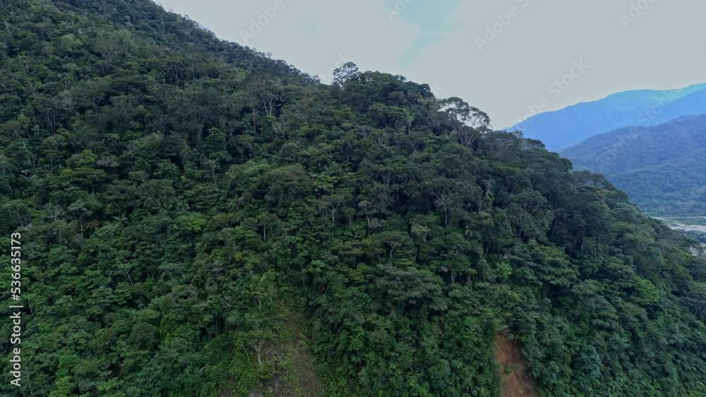 Aerial View of River in Rainforest, Latin America drone Aerial View of River in Rainforest, Latin America drone