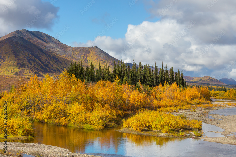 Autumn in polar tundra