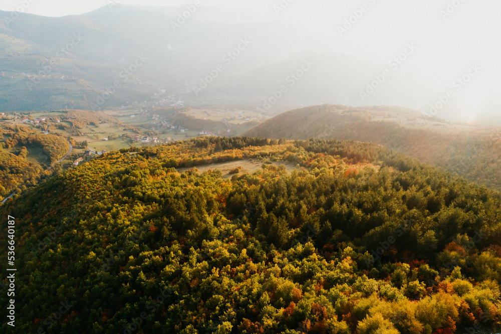 Top view photo of a forest road in autumn