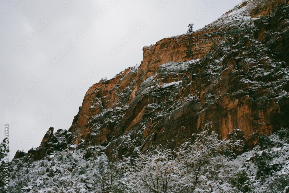 Snowy canyon wall in winter landscape, Zion National Park, USA
