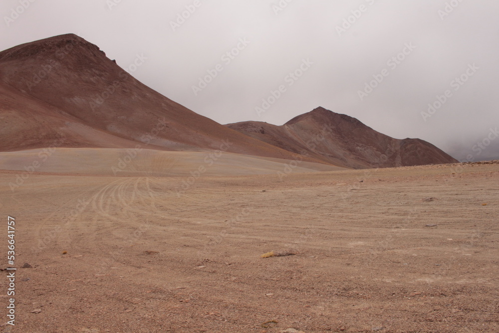Desert landscape of northwestern Argentina
Desert landscape of northwestern Argentina