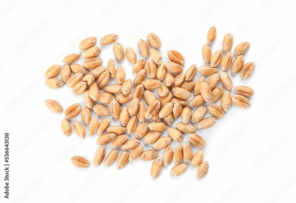 Pile of wheat grains on white background, top view