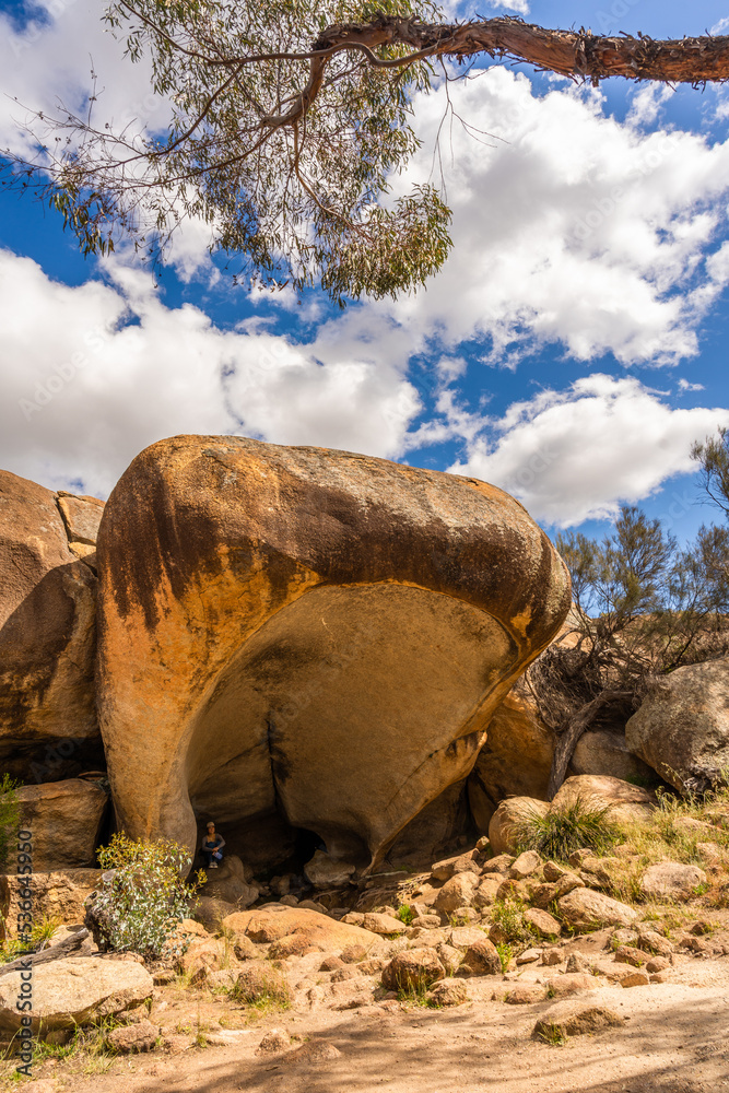 Well known rock Hippo's Yawn in Hyden,  West Australia.