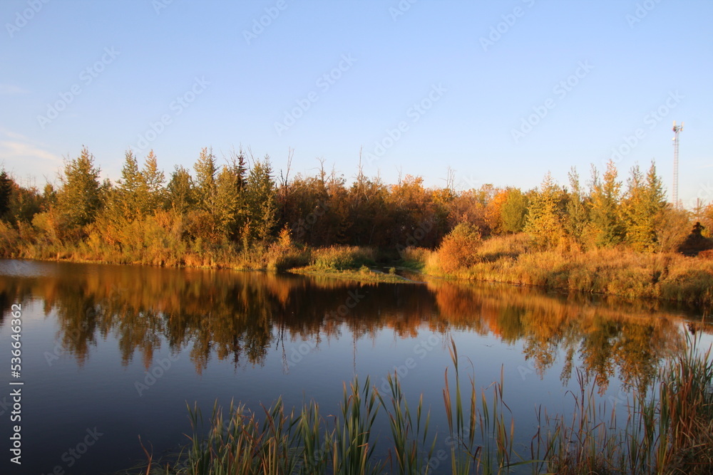 October Reflections, Pylypow Wetlands, Edmonton, Alberta