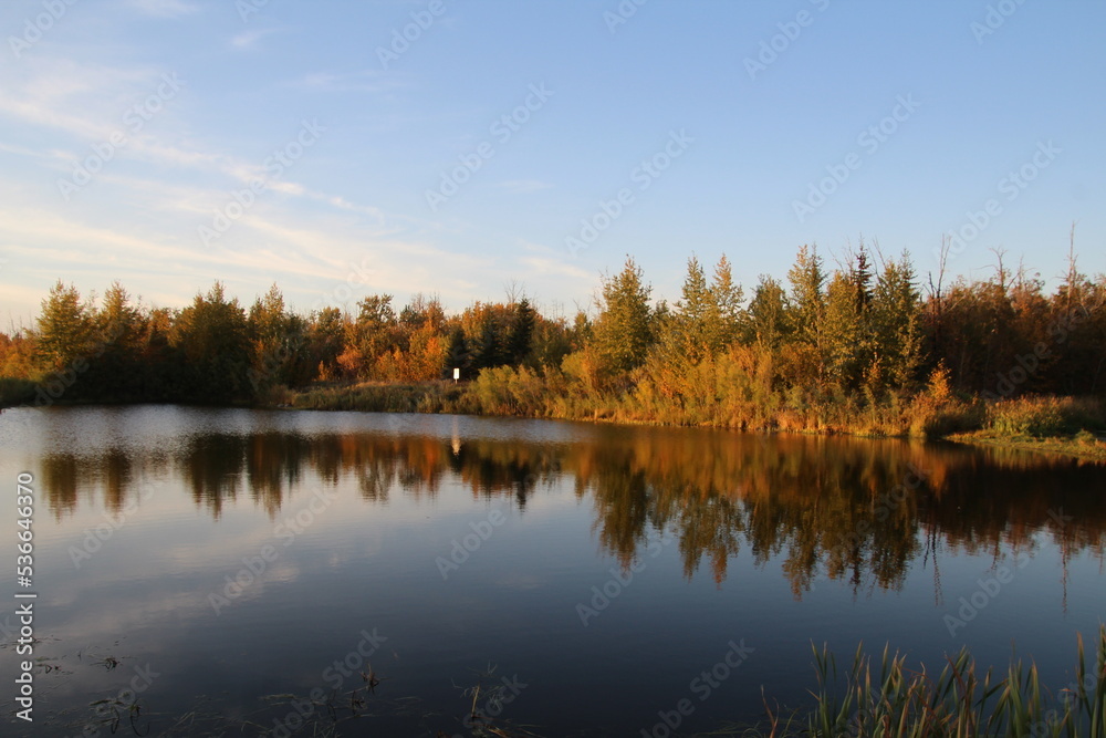 autumn trees reflected in the lake