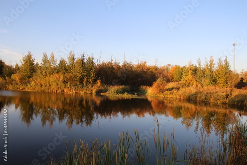 October Reflections, Pylypow Wetlands, Edmonton, Alberta