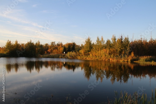 autumn trees reflected in the lake