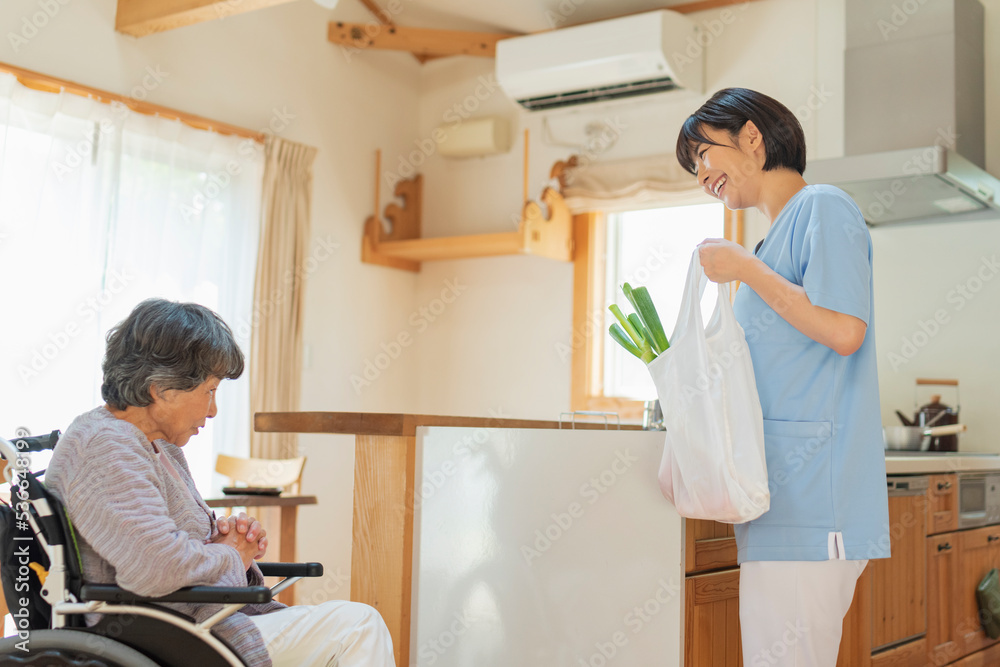 Fototapeta premium 買い物代行をする女性介護士と利用者の女性