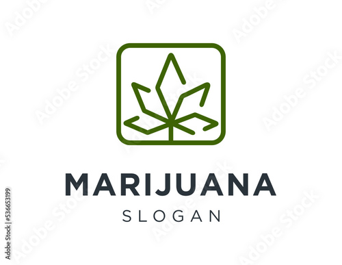 Logo design about marijuana on a white background. made using the CorelDraw application.