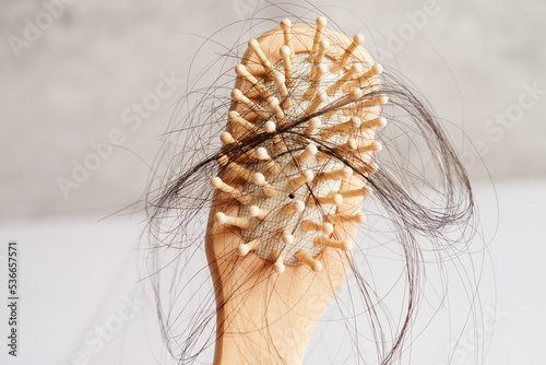 Fototapeta Naklejka Na Ścianę i Meble -  Hair loss fall with comb brush isolated on white background.