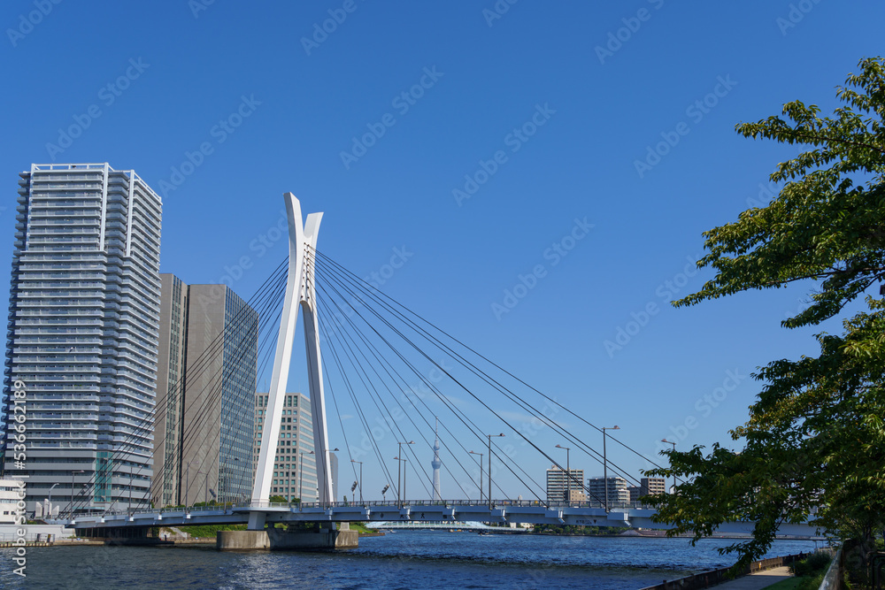 Obraz premium 江東区 中央大橋