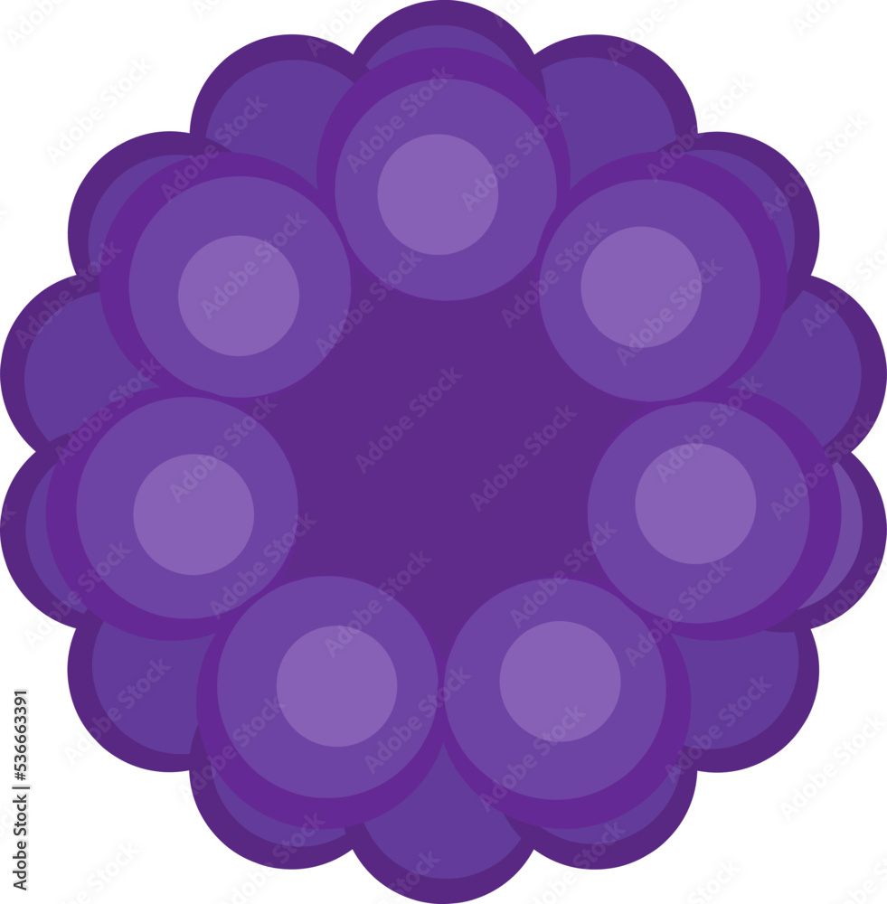 Isolated raspberry fruits composition cartoon vector illustration. Fresh natural fruit in flat style isolated on white background for restaurant menu design or organic market fruit banner. Isolated raspberry fruits composition cartoon vector illustration. Fresh natural fruit in flat style isolated on white background for restaurant menu design or organic market fruit banner.
